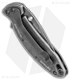 Kershaw Chive Assisted Opening Knife (1.94" Blackwash) 1600 -Kershaw Kershaw Chive Assisted Opening Blackwash KS1600BLKBW BHQ 100765 jr side
