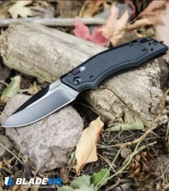 Kershaw Induction Folding Knife Black GFN (3.125" Two-Tone) 1905 -Kershaw Kershaw Induction Folding Knife Black GFN Two Tone 1905 BHQ 34432 kp woods web