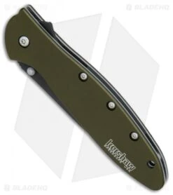 Kershaw Leek Assisted Opening Knife OD Green (3" Black ) 1660OLBLK 9 Kershaw Leek Assisted Opening Knife OD Green (3" Black ) 1660OLBLK -Kershaw Kershaw Leek OD Green black BHQ 79637 er spine