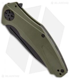 Kershaw -Kershaw Kershaw Natri XL Sub FL OD Green G 10 Black 7008OLBLK BHQ 80571 jr spine