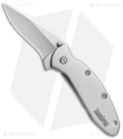 Kershaw Scallion Frame Lock Assisted Opening Knife (2.25" Bead Blast) 1620FL