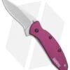 Kershaw Scallion Assisted Opening Knife Purple (2.25" Bead Blast) 1620PUR