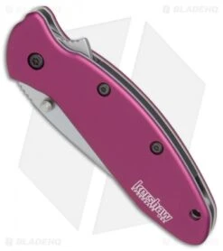 Kershaw Scallion Assisted Opening Knife Purple (2.25" Bead Blast) 1620PUR -Kershaw Kershaw Scallion purple bb BHQ 14804 er spine