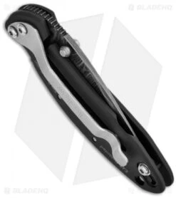 Kershaw Chive Assisted Opening Knife Black (1.94" Damascus) 1600DAMBK 5 Kershaw Chive Assisted Opening Knife Black (1.94" Damascus) 1600DAMBK -Kershaw kershaw black damascus plain 1600damckt chive side