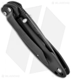 Kershaw Scallion Assisted Opening Knife Black (2.25" Damascus) 1620DAMBK 5 Kershaw Scallion Assisted Opening Knife Black (2.25" Damascus) 1620DAMBK -Kershaw kershaw black damascus plain 1620damckt schallion side