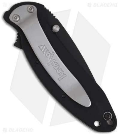 Kershaw Scallion Assisted Opening Knife Black (2.25" Black) 1620ALBLK 2 Kershaw Scallion Assisted Opening Knife Black (2.25" Black) 1620ALBLK - Image 2